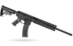 Plinker Arms AR-15 .22LR